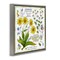 Stupell Industries Chamomile Herb Uses Framed Floater Canvas Wall Art Design by Jane Maday